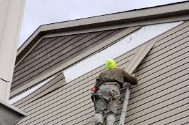 Best Siding Painting and Refinishing  in Royal Oak, MI